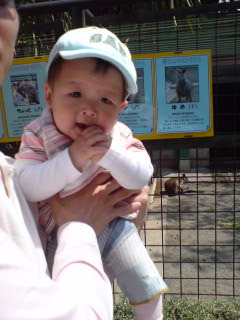 Kai07-4-8_9.jpg