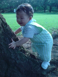 Kai07-8-4C.jpg